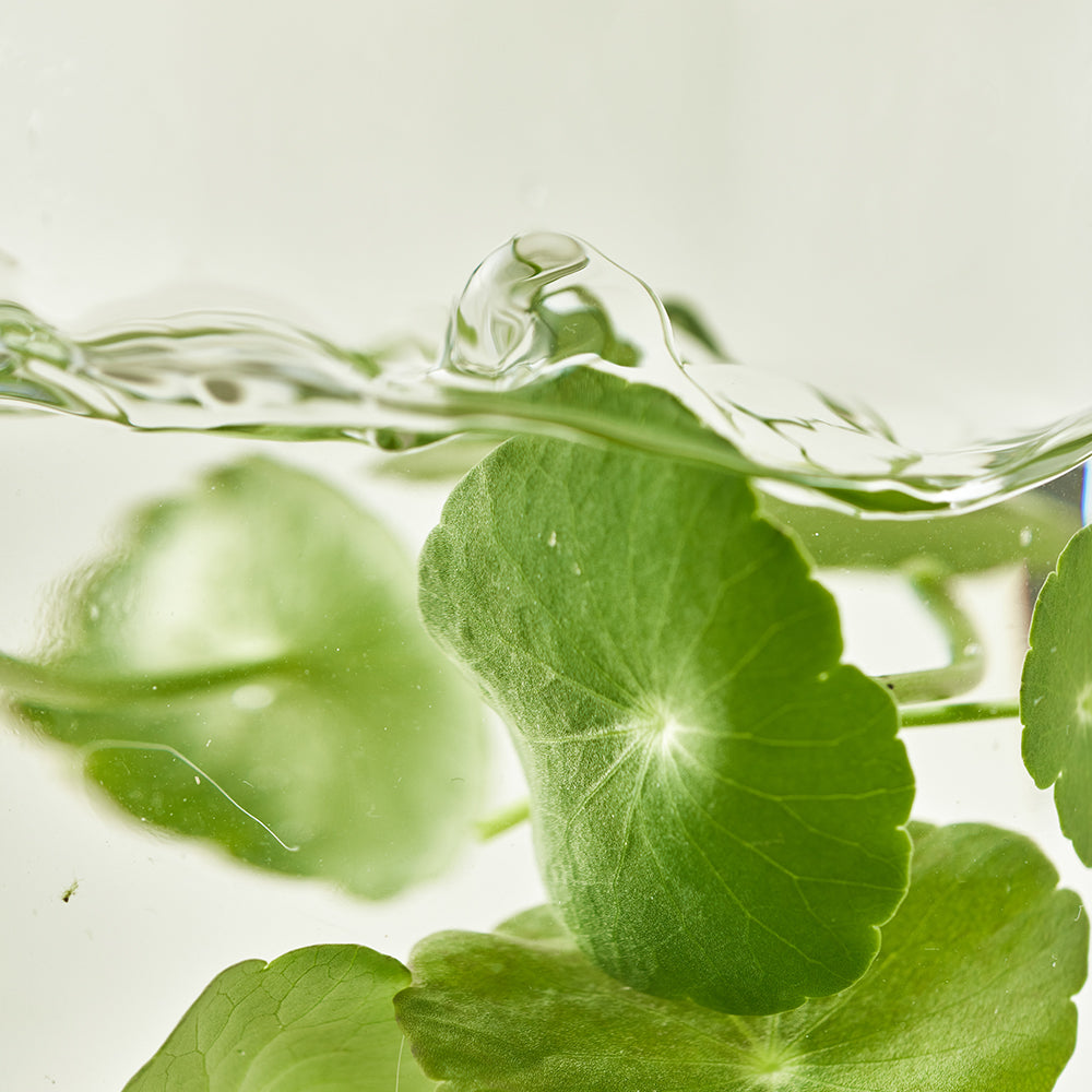 Beauty of Joseon - Light On Serum : Centella + Vita C 30ml